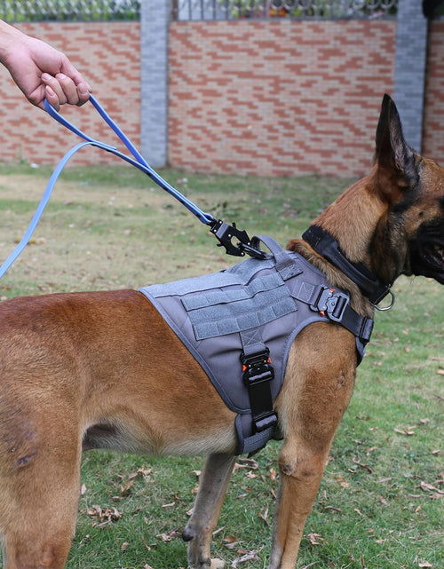 Load image into Gallery viewer, Tactical Dog Harness with 4X Metal Buckle,Dog MOLLE Vest with Handle,No Pulling Front Clip,Hook and Loop Panel for Dog Custom Patch (M (25"-30" Girth), Wolf Gray)

