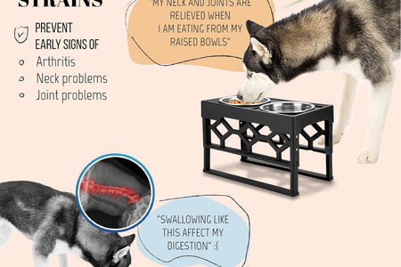 Elevated Dog Bowls, 4 Height Adjustable Stand for Medium and Large Dogs, Raised Dog Feeder Holder with 2 Stainless Steel Food and Water Bowls, Anti-Slip Base Tall Feeding Station