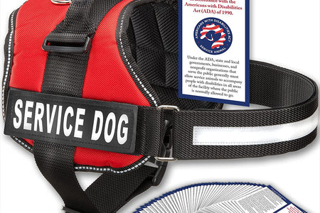 Service Dog Vest with Hook and Loop Straps and Handle - Harness Is Available in 8 Sizes from XXXS to XXL - Service Dog Harness Features Reflective Patch and Comfortable Mesh Design Bright Red