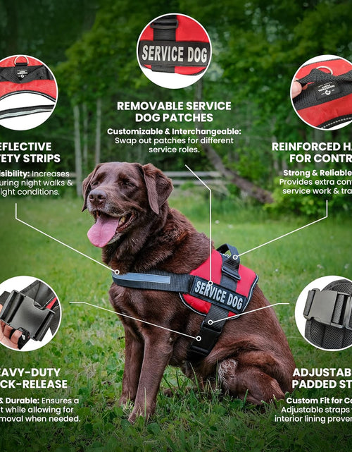 Load image into Gallery viewer, Service Dog Vest with Hook and Loop Straps and Handle - Harness Is Available in 8 Sizes from XXXS to XXL - Service Dog Harness Features Reflective Patch and Comfortable Mesh Design Bright Red
