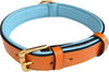 Tan/Teal