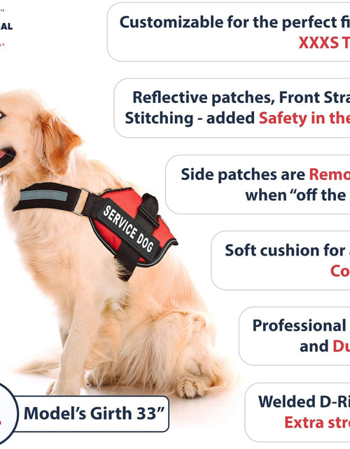 Load image into Gallery viewer, Service Dog Vest with Hook and Loop Straps and Handle - Harness Is Available in 8 Sizes from XXXS to XXL - Service Dog Harness Features Reflective Patch and Comfortable Mesh Design Bright Red
