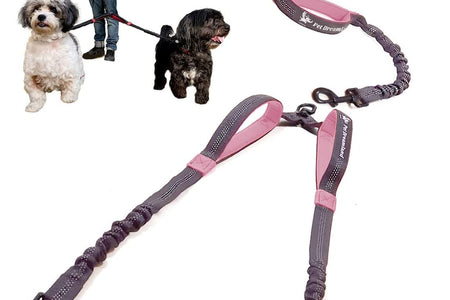 Exquisite Hands Free Double Dog Leash for Small Dogs | Dual Dog Leash | Two Dog Leash No Tangle | Multiple Dog Leash for 2 Dogs | Double Leash | Leash Splitter | Double Clip Leash Coupler