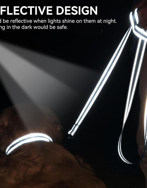 Load image into Gallery viewer, Dog Leash, 5 FT Double-Sided Reflective, Padded Handle Nylon Heavy Duty Leashes for Small Dogs Walking, Grey
