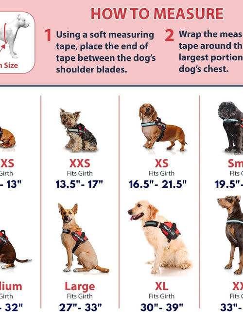 Load image into Gallery viewer, Service Dog Vest with Hook and Loop Straps and Handle - Harness Is Available in 8 Sizes from XXXS to XXL - Service Dog Harness Features Reflective Patch and Comfortable Mesh Design Bright Red
