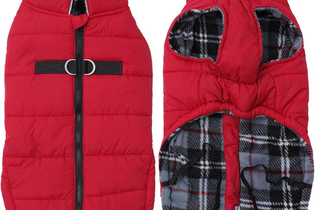 Dog Winter Warm Coat Jacket, Windproof Snowproof, Pet Outdoor Jacket for Small to Large Dogs - Red - XXL