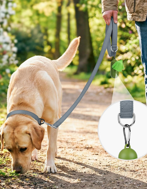 Load image into Gallery viewer, Dog Leash, 5 FT Double-Sided Reflective, Padded Handle Nylon Heavy Duty Leashes for Small Dogs Walking, Grey
