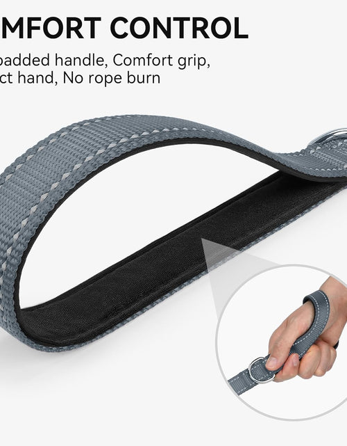 Load image into Gallery viewer, Dog Leash, 5 FT Double-Sided Reflective, Padded Handle Nylon Heavy Duty Leashes for Small Dogs Walking, Grey
