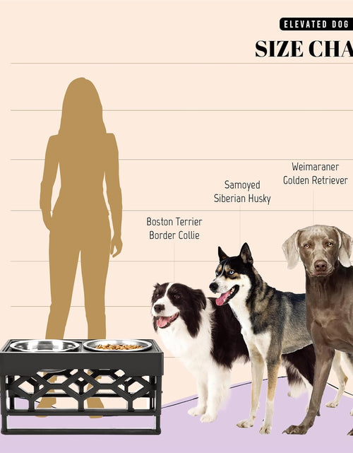 Load image into Gallery viewer, Elevated Dog Bowls, 4 Height Adjustable Stand for Medium and Large Dogs, Raised Dog Feeder Holder with 2 Stainless Steel Food and Water Bowls, Anti-Slip Base Tall Feeding Station
