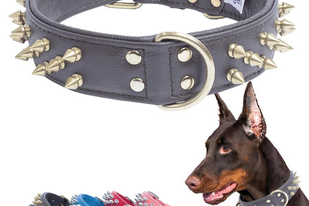 Genuine Leather Spiked Dog Collar | Multi- Line Metal Spikes | Soft and Strong Padded Leather | Stainless Steel | 2 Dee Rings | Multiple Sizes | Amsterdam Spiked Collection by