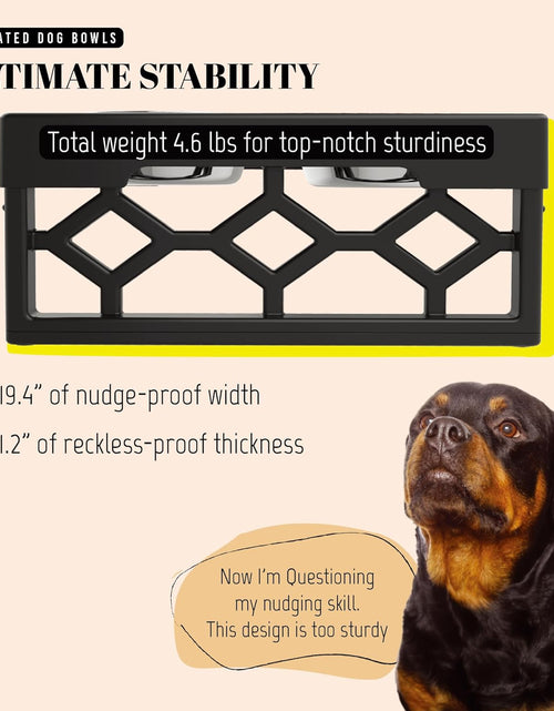 Load image into Gallery viewer, Elevated Dog Bowls, 4 Height Adjustable Stand for Medium and Large Dogs, Raised Dog Feeder Holder with 2 Stainless Steel Food and Water Bowls, Anti-Slip Base Tall Feeding Station
