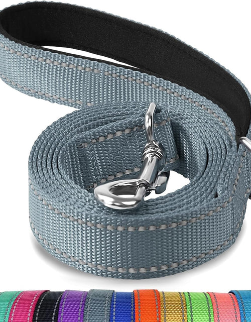 Load image into Gallery viewer, Dog Leash, 5 FT Double-Sided Reflective, Padded Handle Nylon Heavy Duty Leashes for Small Dogs Walking, Grey
