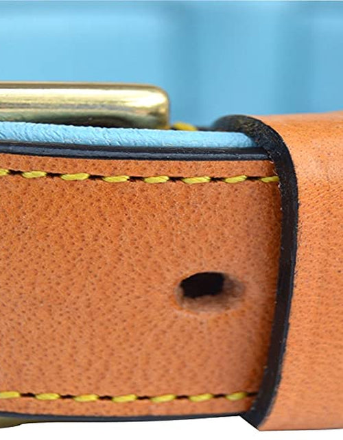 Load image into Gallery viewer, - Luxury Real Leather Padded Dog Collar
