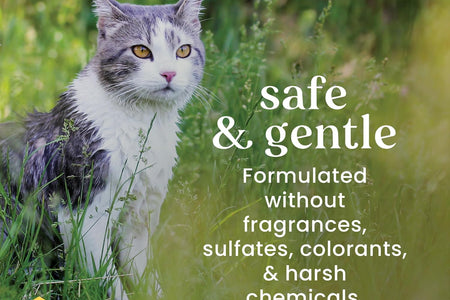 Burt'S Bees for Cats Dander Reducing Wipes - Kitten and Cat Wipes for Grooming - Burts Bees Cat Dander Wipes, Cat Grooming Wipes, Pet Wipes Cats, Cat Cleaning Wipes, Natural Cat Wipes, Cat Fur Wipes