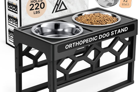 Elevated Dog Bowls, 4 Height Adjustable Stand for Medium and Large Dogs, Raised Dog Feeder Holder with 2 Stainless Steel Food and Water Bowls, Anti-Slip Base Tall Feeding Station