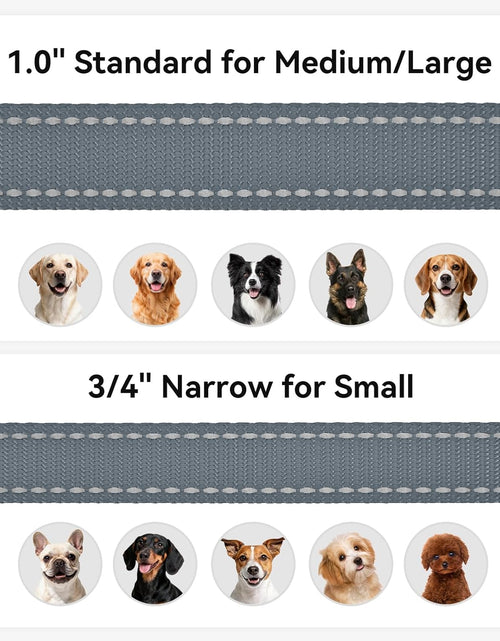 Load image into Gallery viewer, Dog Leash, 5 FT Double-Sided Reflective, Padded Handle Nylon Heavy Duty Leashes for Small Dogs Walking, Grey
