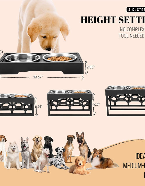 Load image into Gallery viewer, Elevated Dog Bowls, 4 Height Adjustable Stand for Medium and Large Dogs, Raised Dog Feeder Holder with 2 Stainless Steel Food and Water Bowls, Anti-Slip Base Tall Feeding Station
